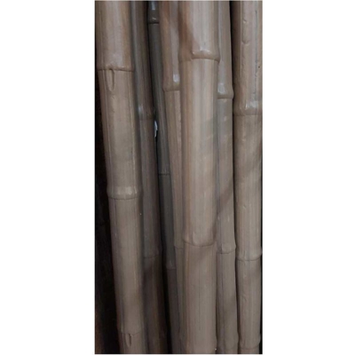 1 Tutore Canna In Pvc 150Cm Colori Assortiti Verdemax Piante Fiori