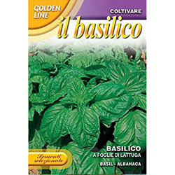 Semi Basilico A Foglie Di Lattuga Franchi Sementi características