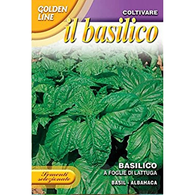 Semi Basilico A Foglie Di Lattuga Franchi Sementi
