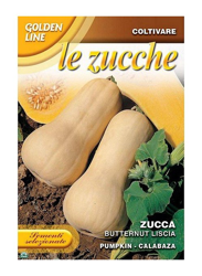 SEMENTI DI ZUCCA BUTTERNUT LISCIA orto giardino semi seeds características