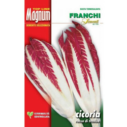 Semi Cicoria Rossa Di Treviso Busta Magnum Franchi Sementi características