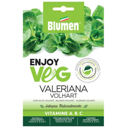 Semi Valeriana Volhart Enjoy Veg Blumen precio