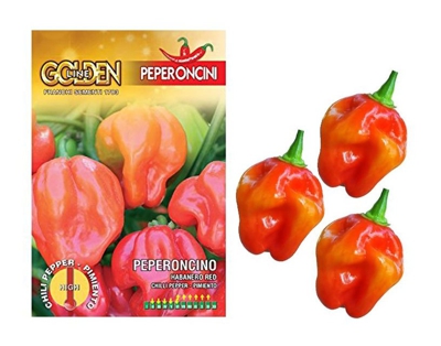 Bustina Di Semi Seeds Di Peperoncino Habanero Rosso Per Orto Giardino