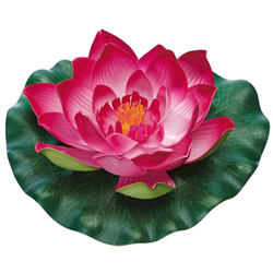 Pianta Da Laghetto Artificiale Pondolily Rosso Oase Accessori Laghetto precio
