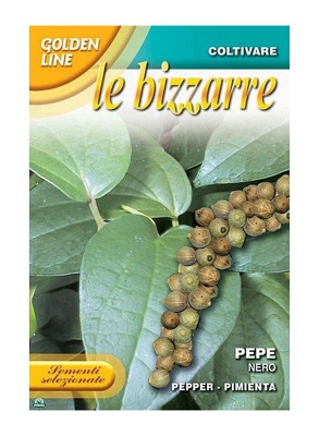 SEMENTI DI PEPE NERO Orto giardino semi