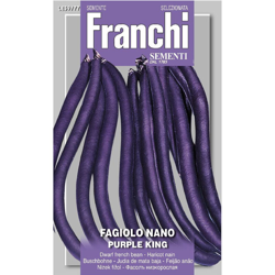 Semi Fagiolo Nano Purple King Franchi Sementi precio