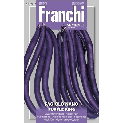 Semi Fagiolo Nano Purple King Franchi Sementi