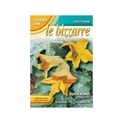 SEMENTI DI ZUCCHINO DA FIORE orto giardino semi