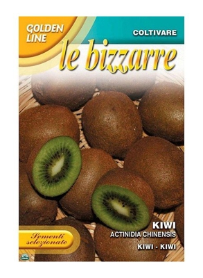 SEMENTI DI KIWI ACTINIDIA CHINENSIS orto giardino semi seeds