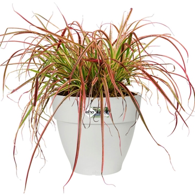Vaso Vibia Campana Round 30Cm White Elho