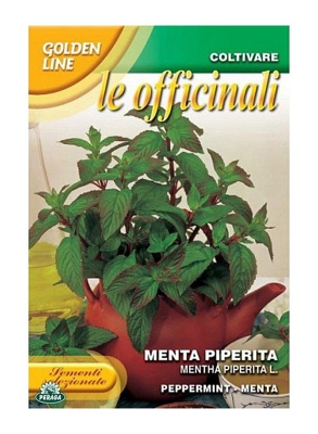SEMENTI DI MENTA PIPERITA orto officinali giardino semi