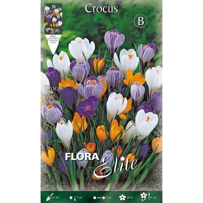 Bulbi Autunnali Crocus Vernus Mix Confezione 10 Bulbi Bulbs Bulbes