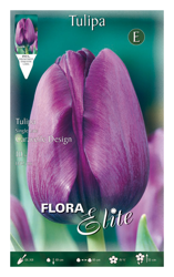 Bulbi Autunnali Tulipano Singolo Tardivo Caravelle Design Confezione Da 10 Bulbi Bulbs Bulbes características