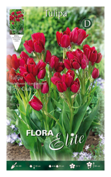 Tulipano Multifiori Fiery Club Confezione Da 7 Bulbi Autunnali Bulbs Bulbes características