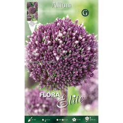 Bulbi Allium Summer Drummer Confezione Da 5 Bulbi Bulbs Bulbes precio