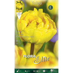 Bulbi Autunnali Tulipano Fiore Doppio Yellow Pompenette Confezione Da 10 Bulbi Bulbs Bulbes precio