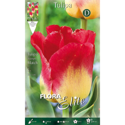 Bulbi Autunnali Tulipano Match Confezione Da 5 Bulbi Bulbs Bulbes en oferta