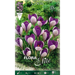 Bulbi Autunnali Crocus Vanguard Confezione 15 Bulbi Bulbs Bulbes precio