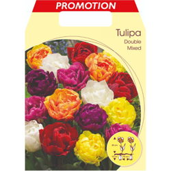 Tulipano Double Mix Di Colori Confezione Da 25 Bulbi Autunnali Bulbs Bulbes precio