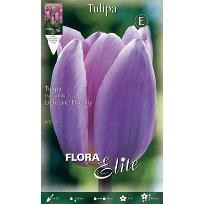 Bulbi Autunnali Tulipano Darwin Light And Dreamy Confezione Da 5 Bulbi