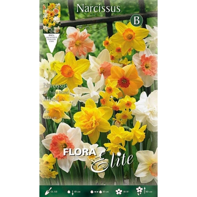 Bulbi Autunnali Narciso All Types Mix Confezione Da 5 Bulbi Bulbs Bulbes