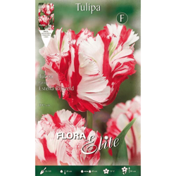 Bulbi Autunnali Tulipano Estella Rijnveld Confezione Da 10 Bulbi Bulbs Bulbes en oferta