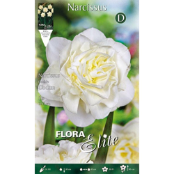 Bulbi Autunnali Narciso Double Obdam Confezione 5 Bulbi Bulbs Bulbes en oferta