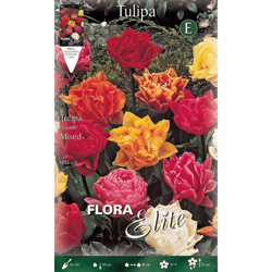 Bulbi Autunnali Tulipano Fiore Doppio Mix Di Colori Confezione 10 Bulbi Bulbs Bulbes características