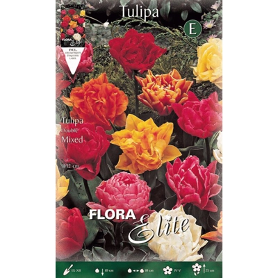 Bulbi Autunnali Tulipano Fiore Doppio Mix Di Colori Confezione 10 Bulbi Bulbs Bulbes