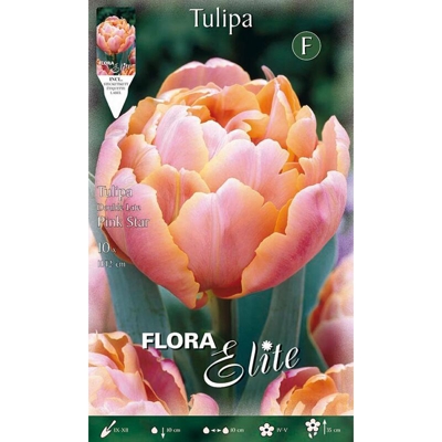 Bulbi Autunnali Tulipano Fiore Doppio Rosa Pink Star Confezione 10 Bulbi Bulbs
