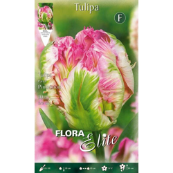 Bulbi Autunnali Tulipano Parrot Pinkvision Confezione Da 10 Bulbi Bulbs Bulbes en oferta