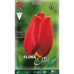 Bulbi Autunnali Tulipano Darwin Hybrid Apeldoorn Confezione Da 10 Bulbi Bulbs en oferta