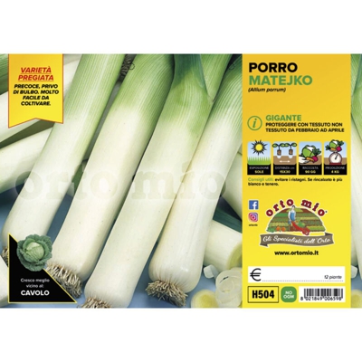 Porro gigante Mateiko F1 - 12 piante - Orto Mio