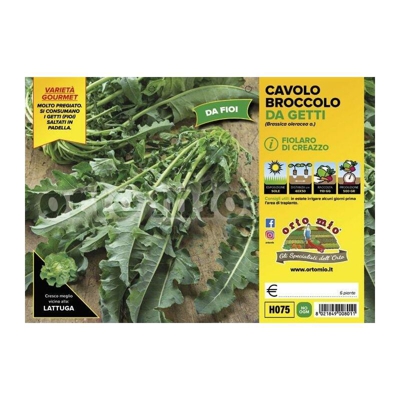 Cavolo broccolo da getti Fiolaro di Creazzo - 6 piante - Orto Mio