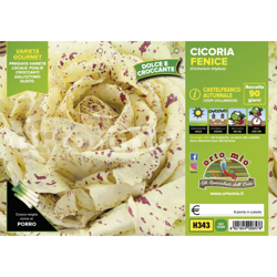 Cicorie e Radicchio Castelfranco autunnale Fenice - 9 piante - Orto Mio en oferta