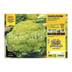 Cavolfiore Macerata precoce Gilverde F1 - 6 piante - Orto Mio características