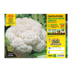 Cavolfiore palla di neve o natalino Jerico F1 - 6 piante - Orto Mio características