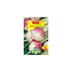 L'Ortolano Rapa Di Milano Bianca a Colletto Viola Big Pack - Busta Sementi precio