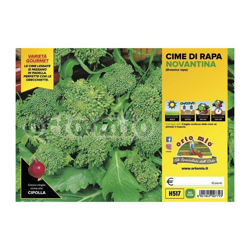 Cima di rapa novantina - 12 piante - Orto Mio precio