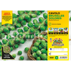 Cavolo Bruxelles Dolores F1 - 6 piante - Orto Mio precio