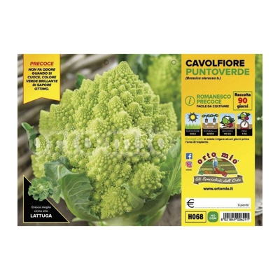 Cavolfiore romanesco precoce Puntoverde F1- 6 piante - Orto Mio