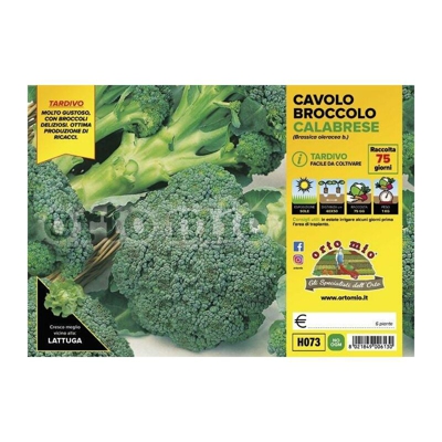 Cavolo Broccolo Calabrese tardivo Marathon F1 - 6 piante