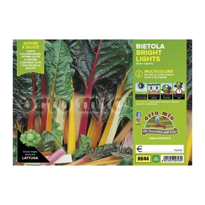 Bietola da costa e da taglio multicolore Bright Lights F1 - 6 piante - Orto Mio