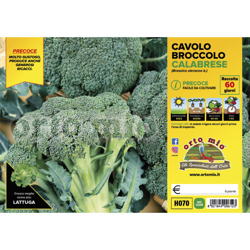 Cavolo Broccolo Calabrese precoce Heraklion F1 - 6 piante - Orto Mio características