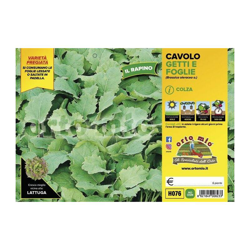 Cavolo broccolo getti e foglie (Colza) o Broccolo Rapino - 6 piante - Orto Mio características