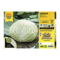 Cavolo cappuccio autunnale Betti F1 - 6 piante - Orto Mio en oferta