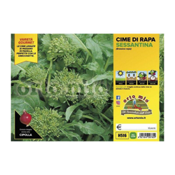 Cima di rapa sessantina - 12 piante - Orto Mio en oferta