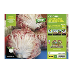 Cicorie e Radicchio variegata di Chioggia autunnale - 9 piante - Orto Mio precio