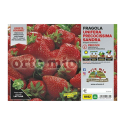 Fragola unifera precoce Sandra - 6 piante - Orto Mio características