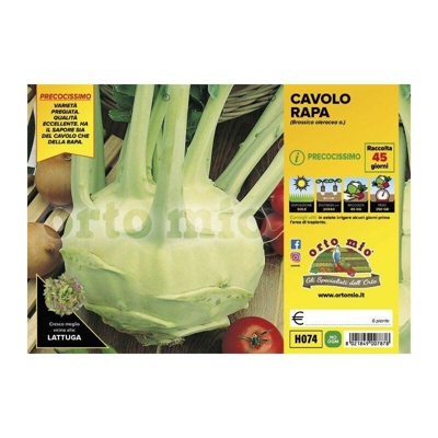 Cavolo Rapa Bianco Quickstar F1 - 6 piante - Orto Mio